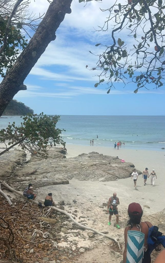 Pacific Coast beach in Costa Rica with turquoise water, palm trees and tropical greenery